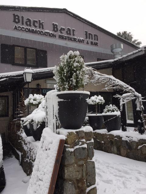 Black Bear Inn Thredbo Luaran gambar