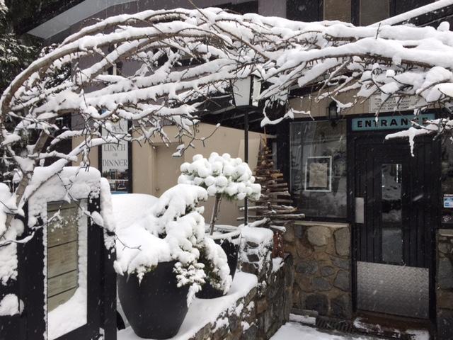 Black Bear Inn Thredbo Luaran gambar